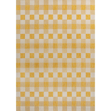 Darcy Traditional Geometric Bold Gingham Area Rug